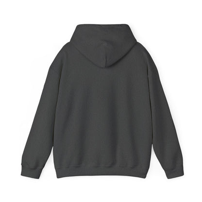 Mountain Lion Portrait Hoodie