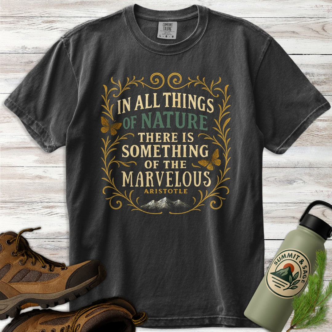 Something Marvelous Aristotle T-Shirt