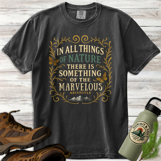 Something Marvelous Aristotle T-Shirt