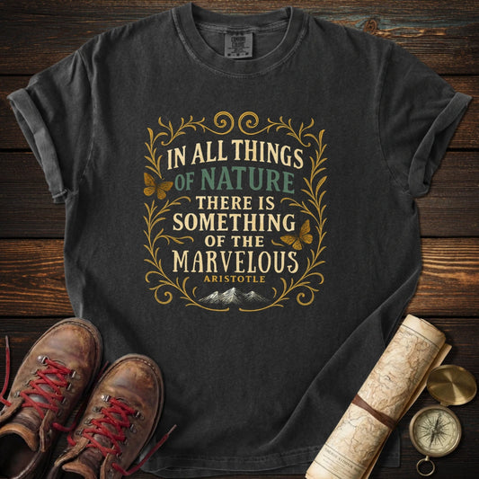 Something Marvelous Aristotle T-Shirt