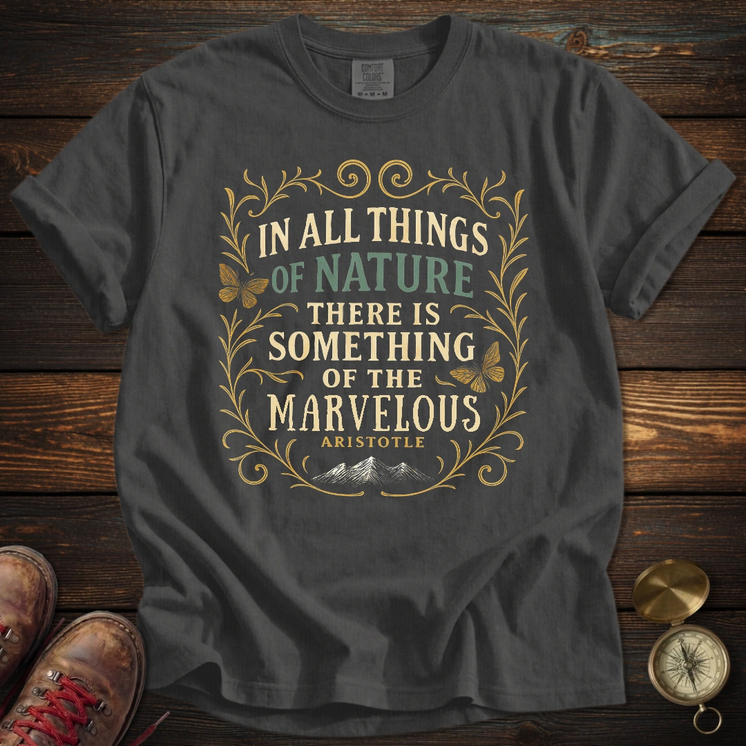 Something Marvelous Aristotle T-Shirt