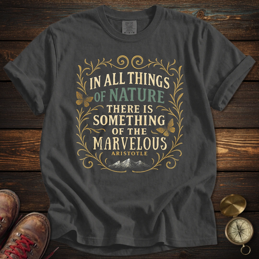 Something Marvelous Aristotle T-Shirt