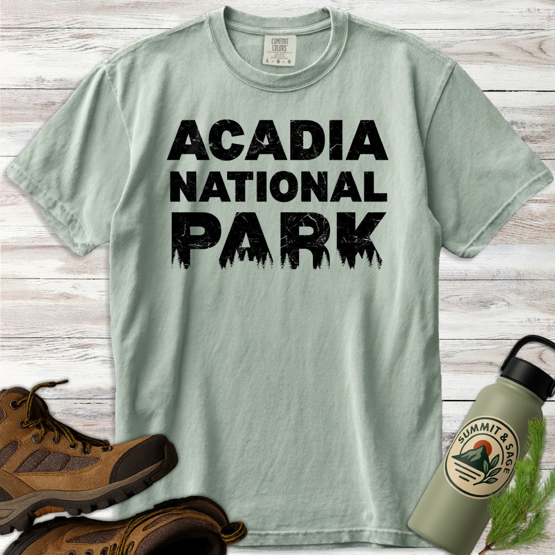 Acadia National Park Silhouette T-Shirt