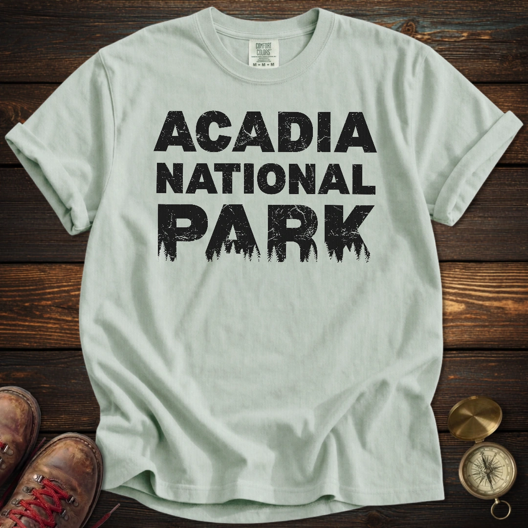Acadia National Park Silhouette T-Shirt