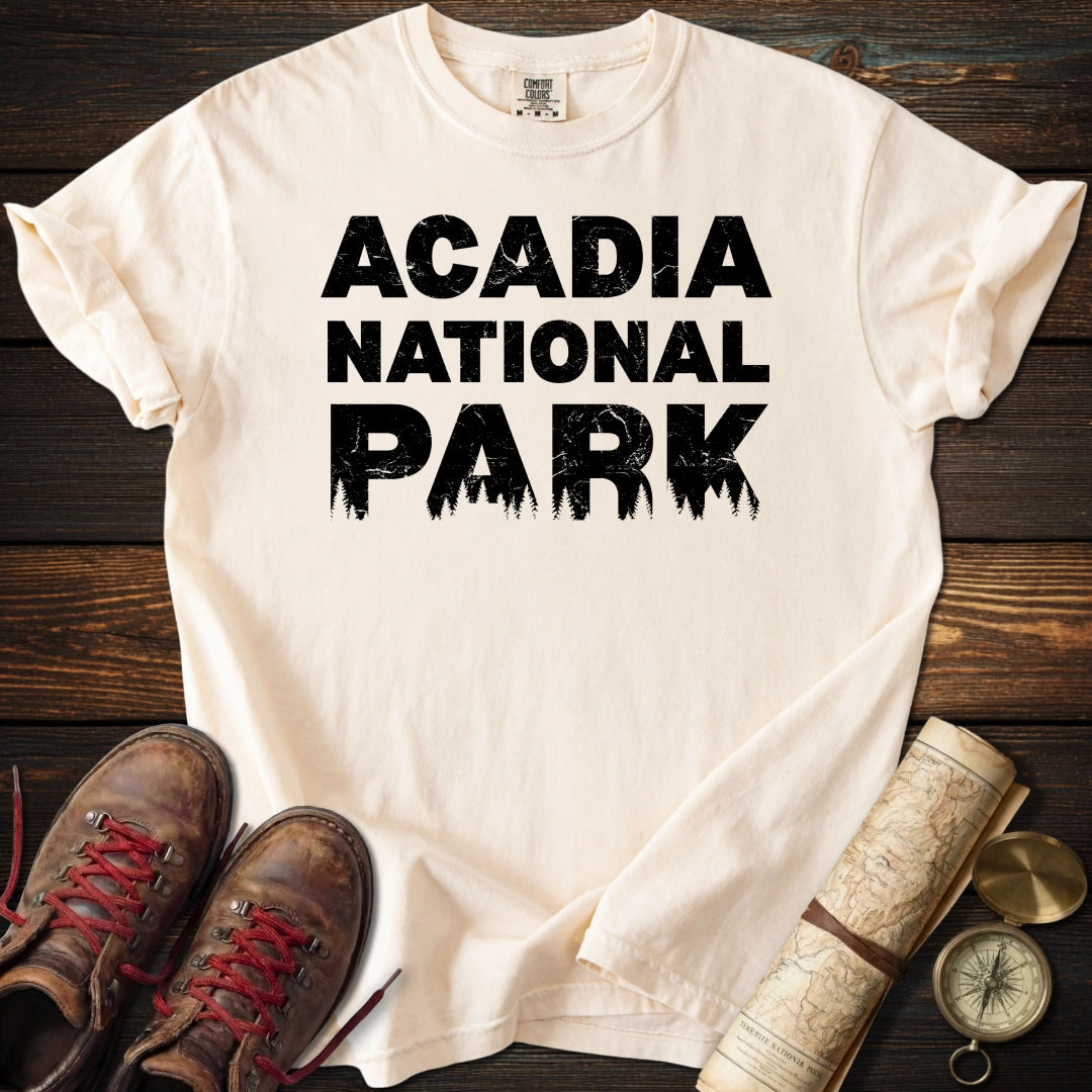 Acadia National Park Silhouette T-Shirt